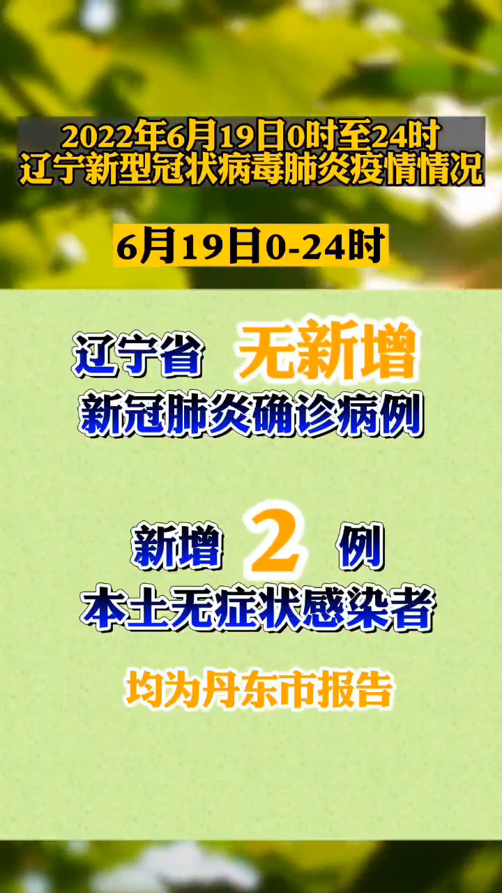 【沈阳最新一例疫情/沈阳最新疫情发布】-第2张图片