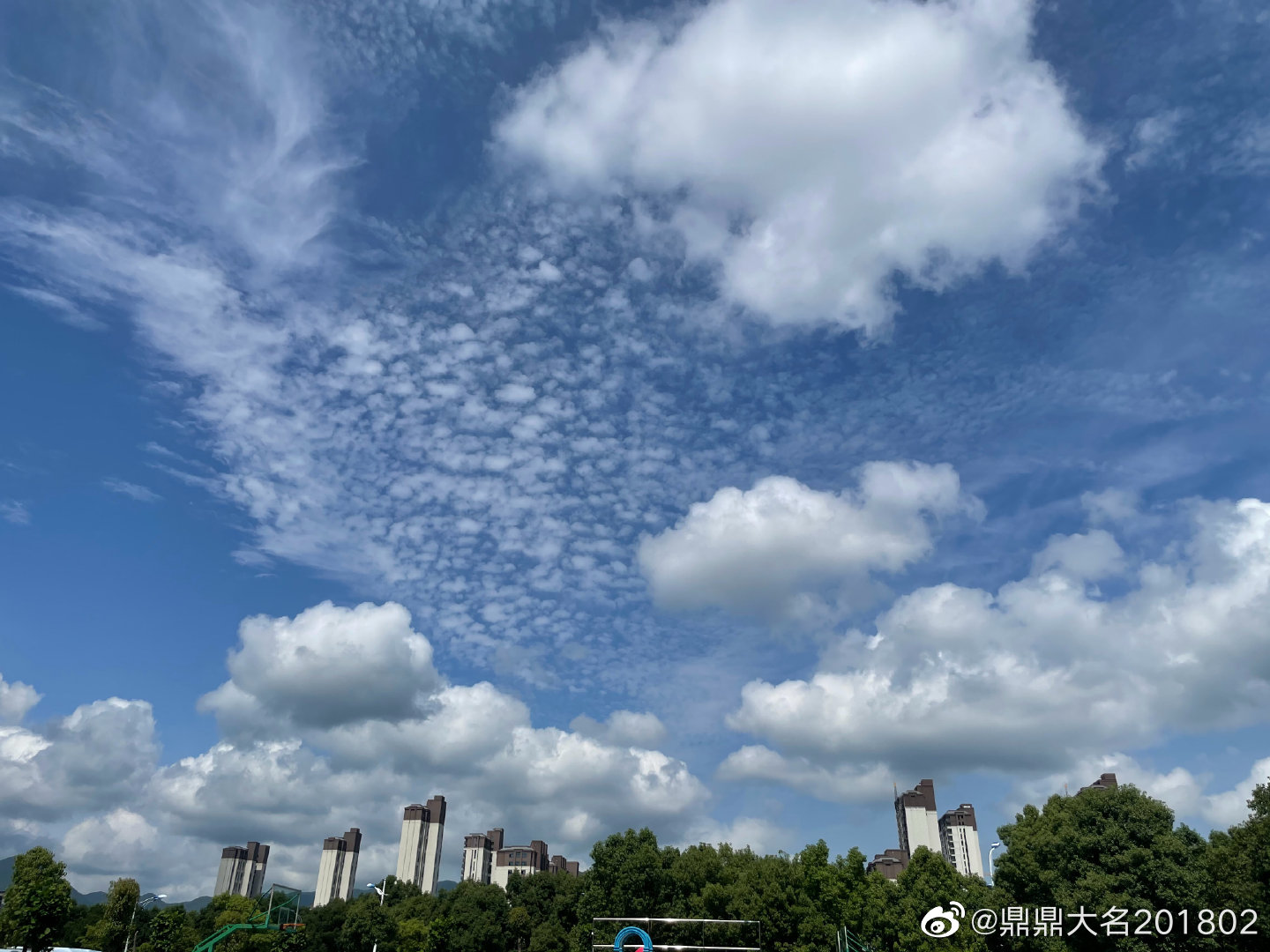 上海新增本土无症状5例.上海新增本土确诊5例-第1张图片