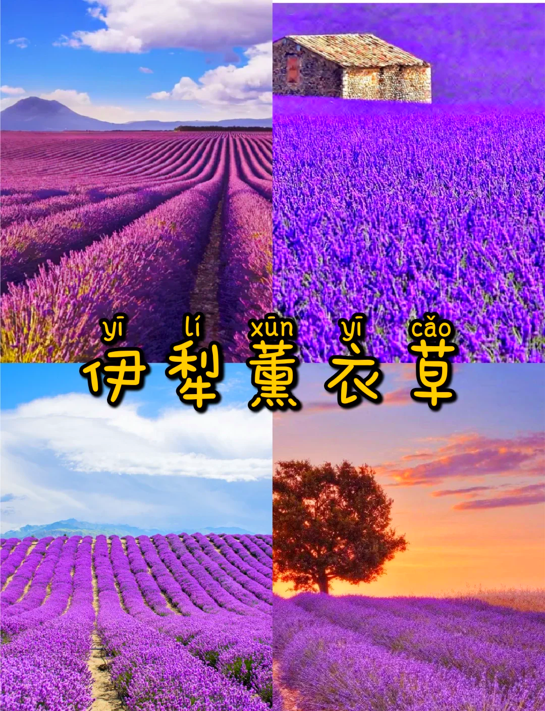 新疆伊犁游客暂不能离开.伊犁游客可以走了吗-第3张图片
